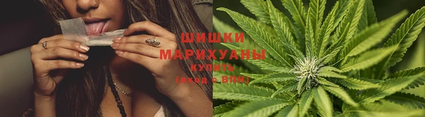крисы Кинешма
