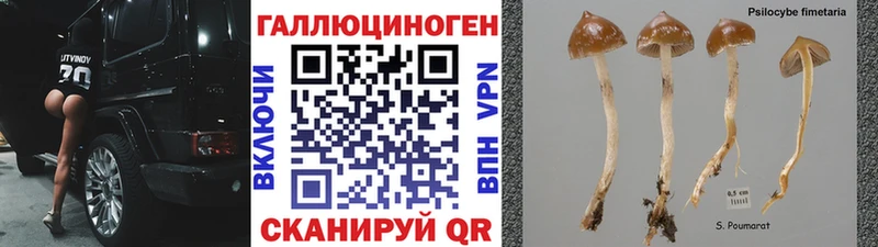 Галлюциногенные грибы прущие грибы  Купить закладки  Дмитров 