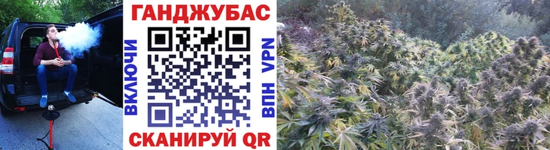 Марихуана Ganja Купить закладки Дмитров